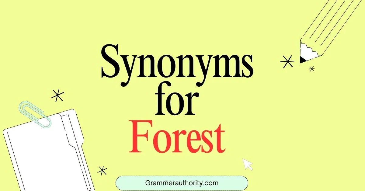 Synonyms for Forest